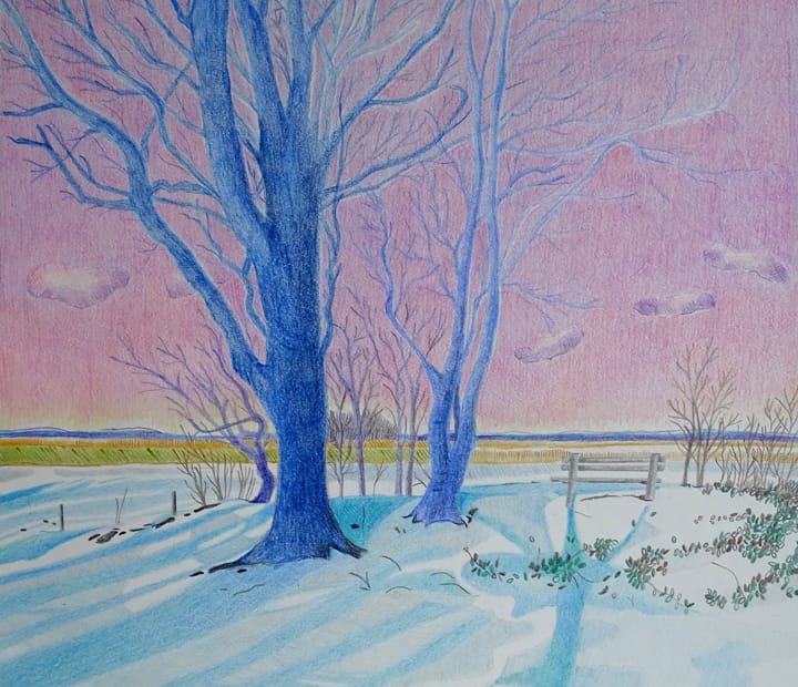 Nijenburg - Het overbos na sneeuwval