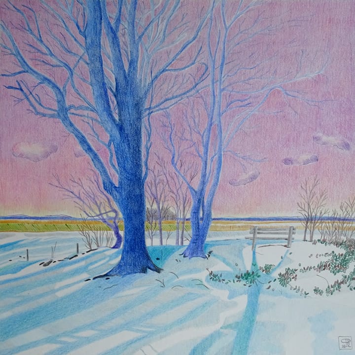 Nijenburg - Het overbos na sneeuwval